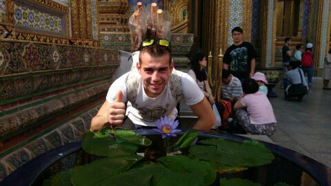WCD_Pomaresthai's profile picture. 