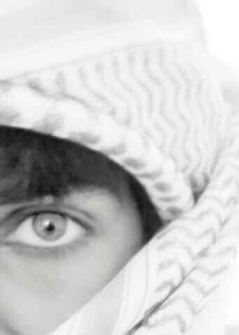 @H_Alneyadii