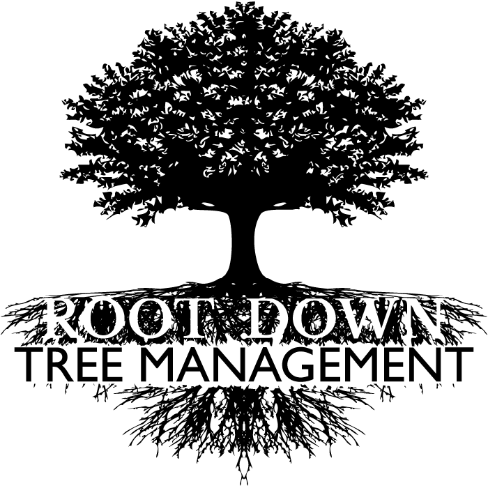 Insect and Disease Management.Tree Pruning.Woody Ornamental Pruning.Transplanting.Planting.Soil Testing.
Soil Structure Improvement.Fertilization