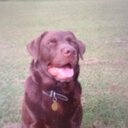 Andy Hook - @hookysworld - Twitter