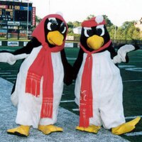 Only At YSU (@onlyatysu) 's Twitter Profile