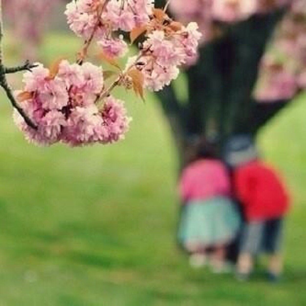 اللهم اجعل القران العظيم ربيع قلوبنا❤️