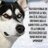 silviamendesxis's profile image