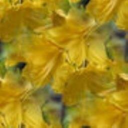 pliss2lgaWampac's profile picture. 