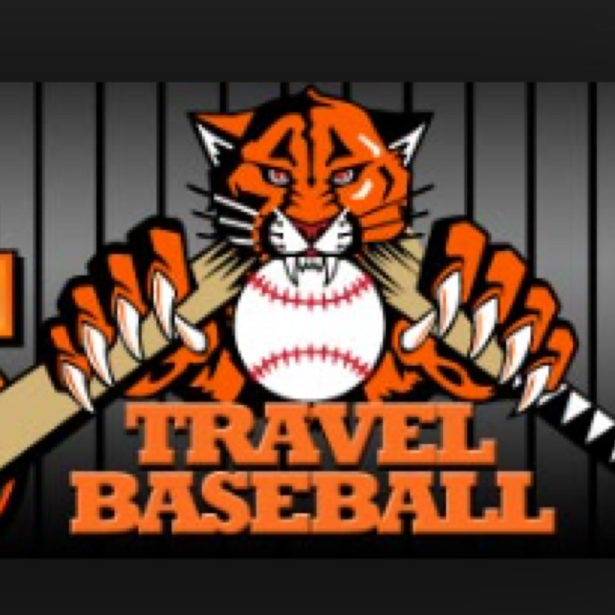 pantherpride17u's profile picture. 