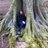 Cath_Barber's profile image