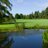 GolfStratford's profile image