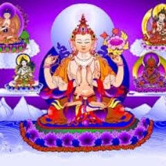 anacuantica's profile picture. 