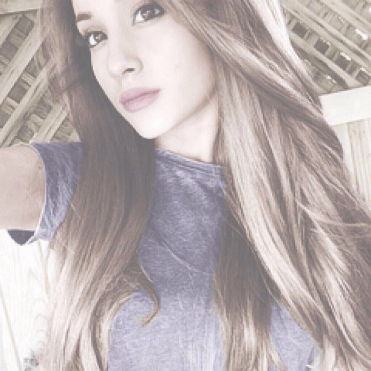 jonnysteph_'s profile picture. ariana ariana ariana