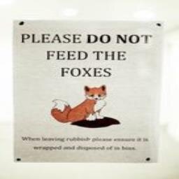 subgraphsuOdiam's profile picture. 