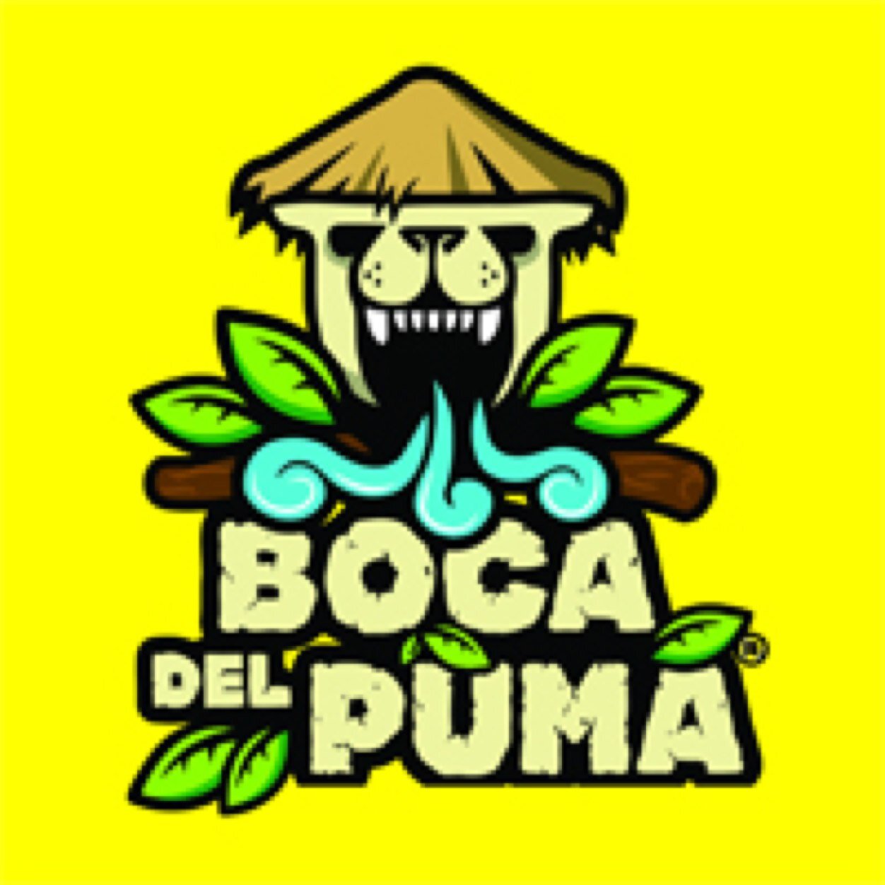 Boca del Puma is the pioneer of the tour of zip lines, ATVs and swim in a cenote in the area of Cancun and the Riviera Maya.