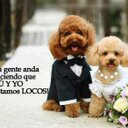 Sally Suarez - @rebekluma17 - Twitter