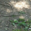 Cameron Bybee - @BybeeCameron - Twitter