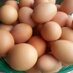 FarmFreshEggs (@hilliardeggs) Twitter profile photo