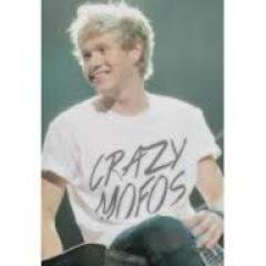 Hi i do Niall Horan vines...... you will cry