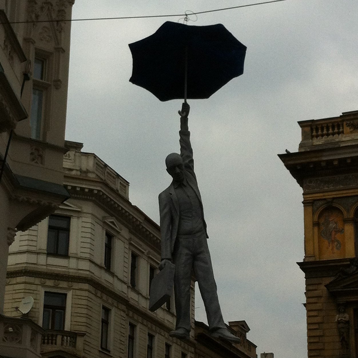 mimmo_maio's profile picture. 