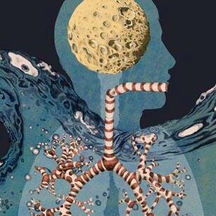 Aimee is a freelance illustrator with a particular interest in human health and behaviour.