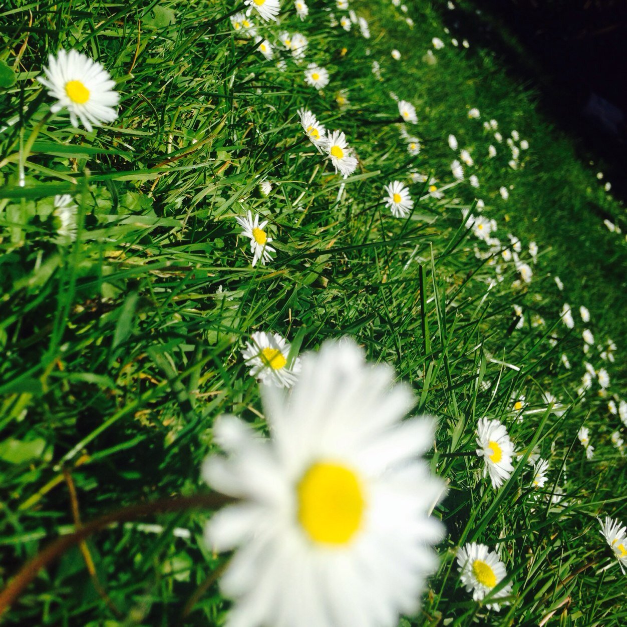 mercyroad98's profile picture. Just because you don't know who I am... I am still the person I will be.