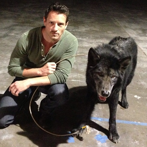 SonOfAresTW's profile picture. Brother of Talia, son of Ares, psychopath, maniac, etc... I'm just a tad bit insane and murderous, so, nothing too bad to deal with. {RP/TW/CHBM/DG}