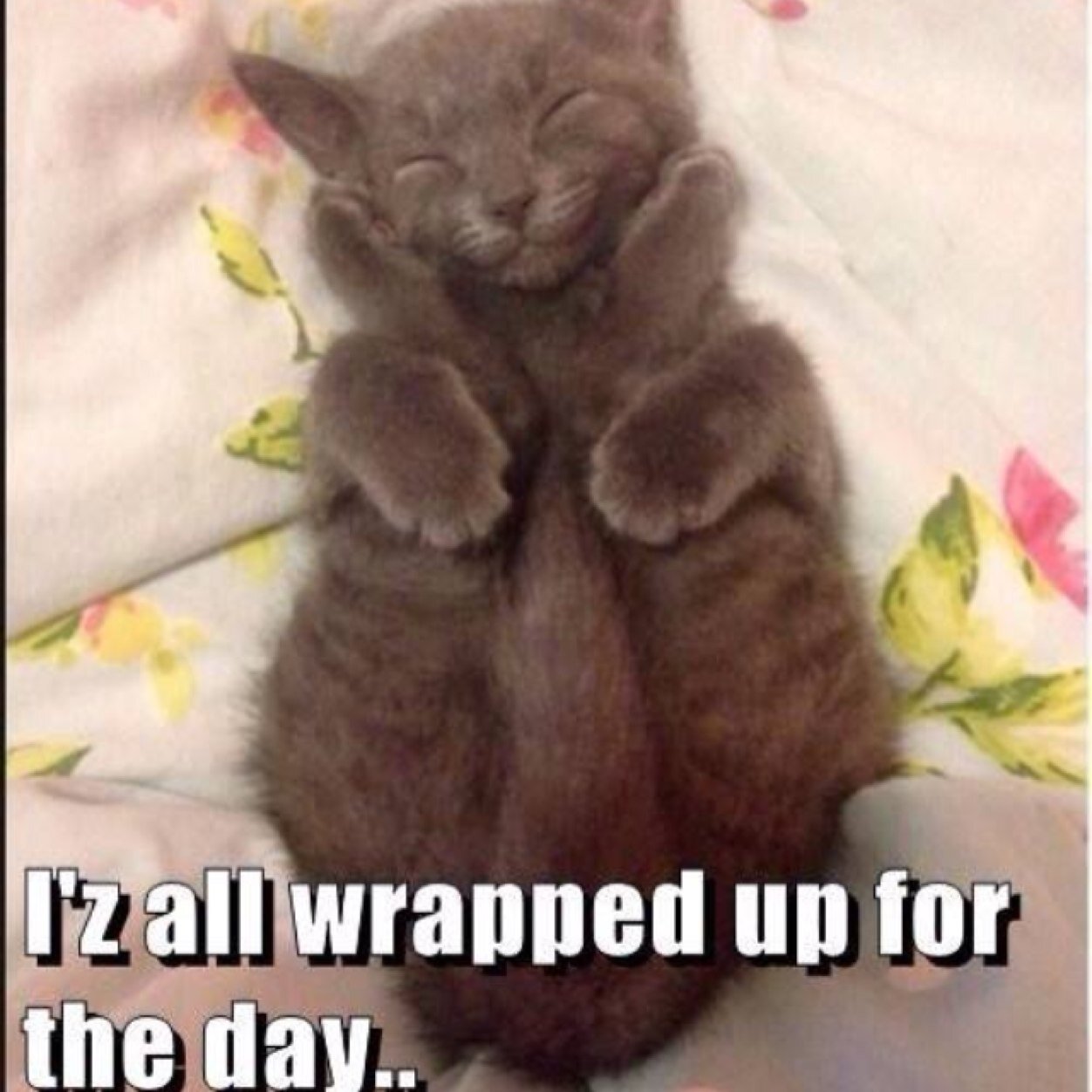 x_Revilo98's profile picture. 