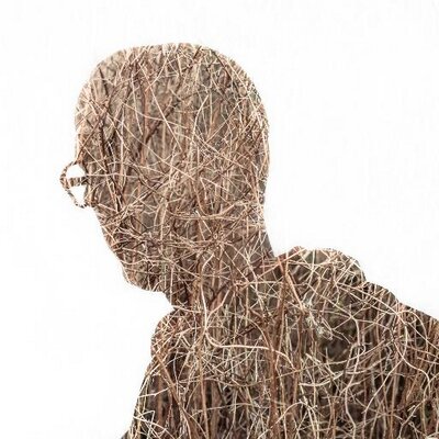dbrodie's profile image