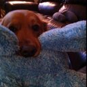 Joe Elms - @jrelms - Twitter