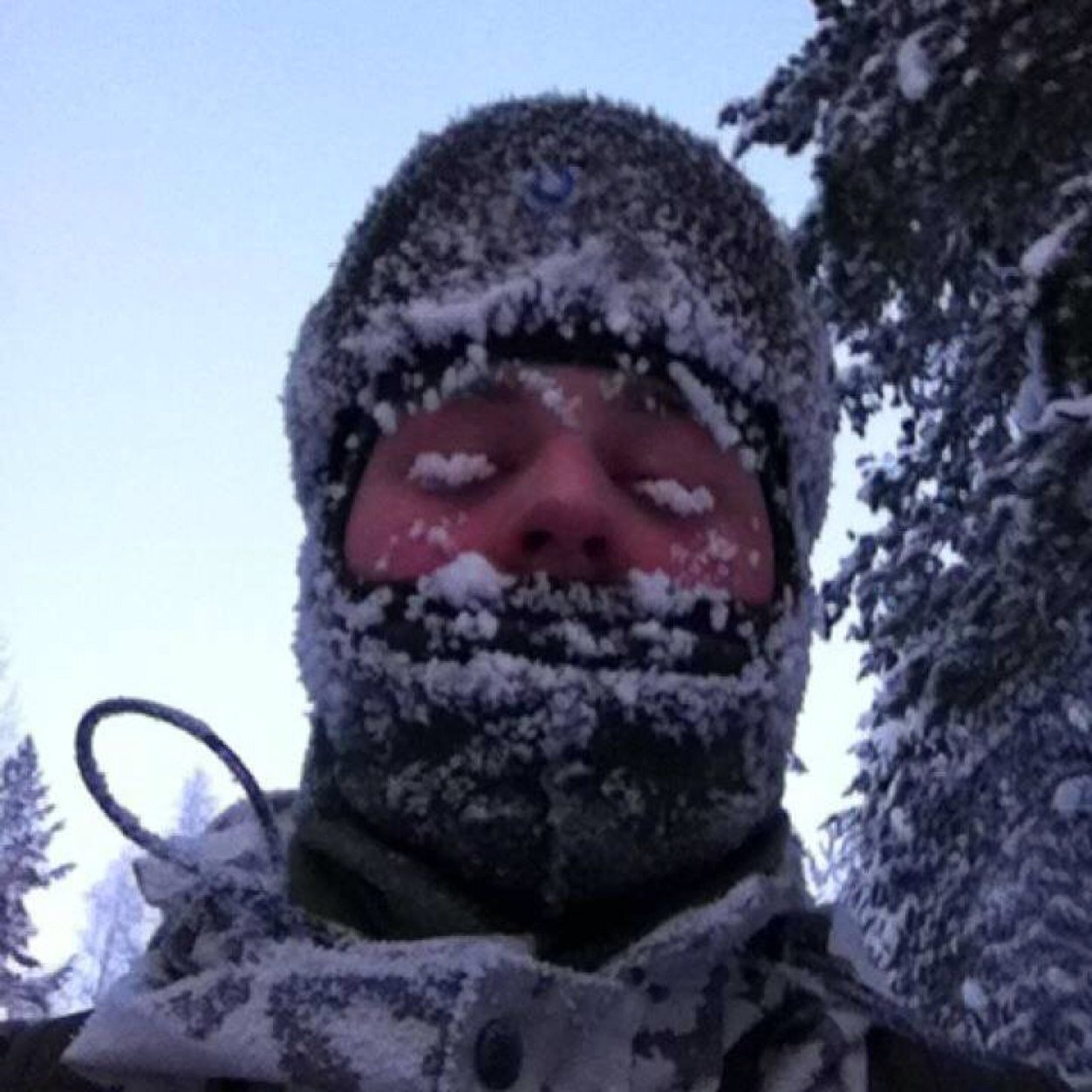 LNikkari's profile picture. 