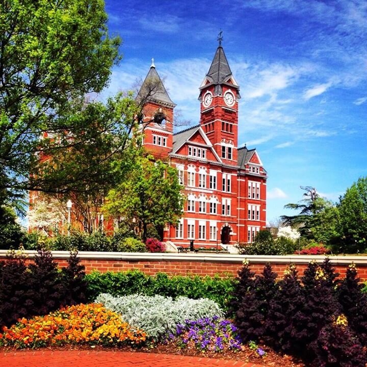 Momma  to 4,  I ♥ AUBURN,