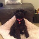 Louise Rush - @louise_rush - Twitter