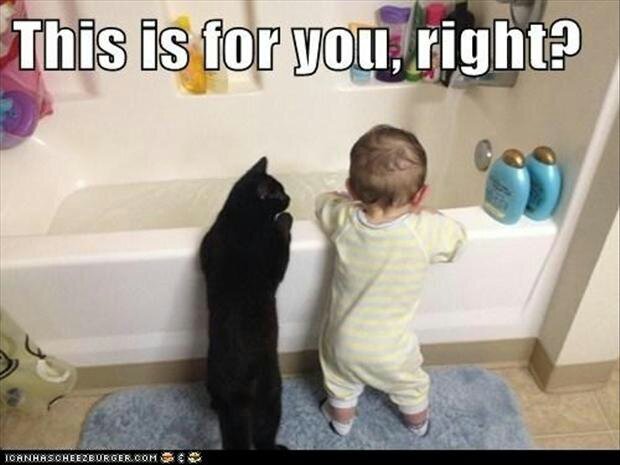 aBathingSpace's profile picture. Want a better bathroom?  a Rebath Bathroom IS a better bathroom! To get a free estimate Call 619.265.8126 for a free estimate.