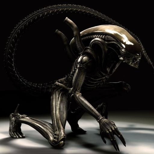 iamjackstwits Profile Picture