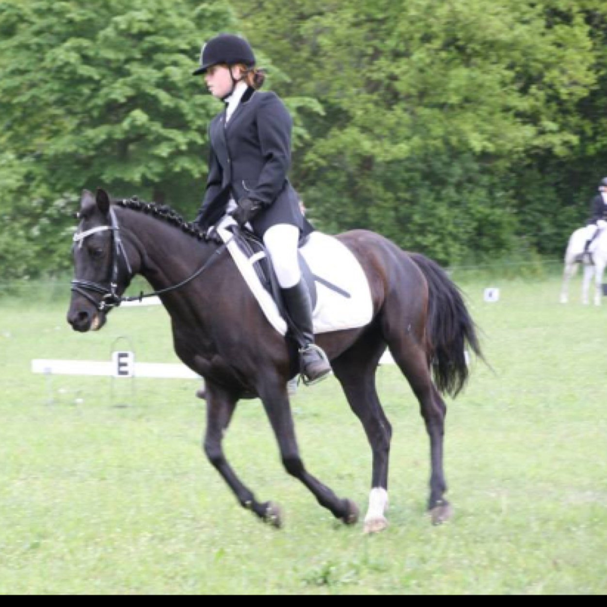 Ruiter Sport Waspik||horseriding||