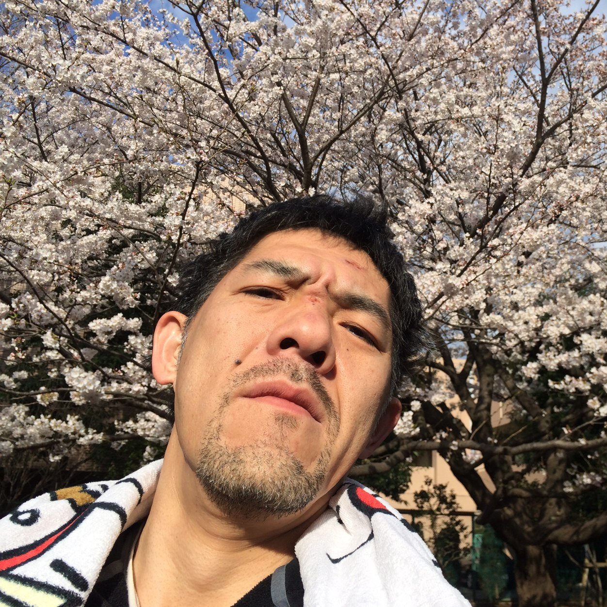 uzunao's profile picture. 携帯屋さん てんちょ