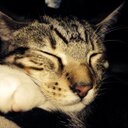 Isaac Watt - @pewmarpie - Twitter