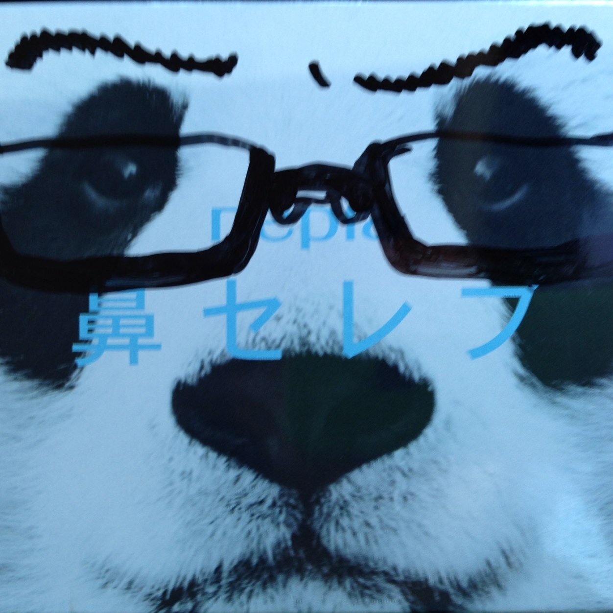 トン盛さんのプロフィール画像