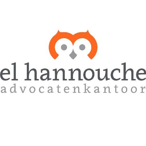 Advocaat | Mediator | Intervisiecoach | Docent