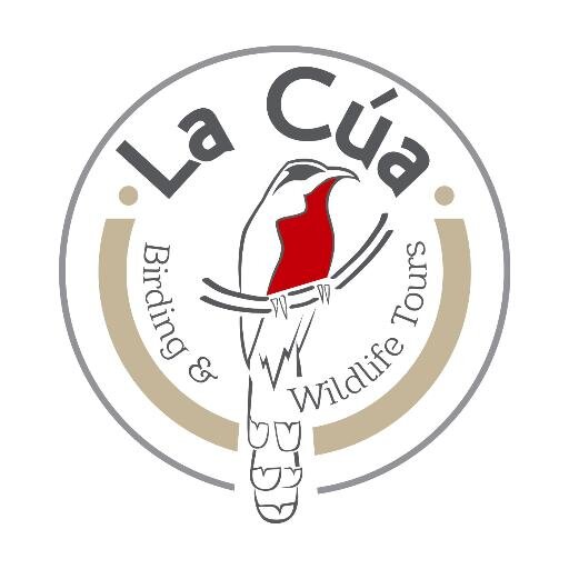 LaCuaBirding's profile picture. Birding & Wildlife Tours in the Dominican Republic * Tours lead by Ivan Mota.