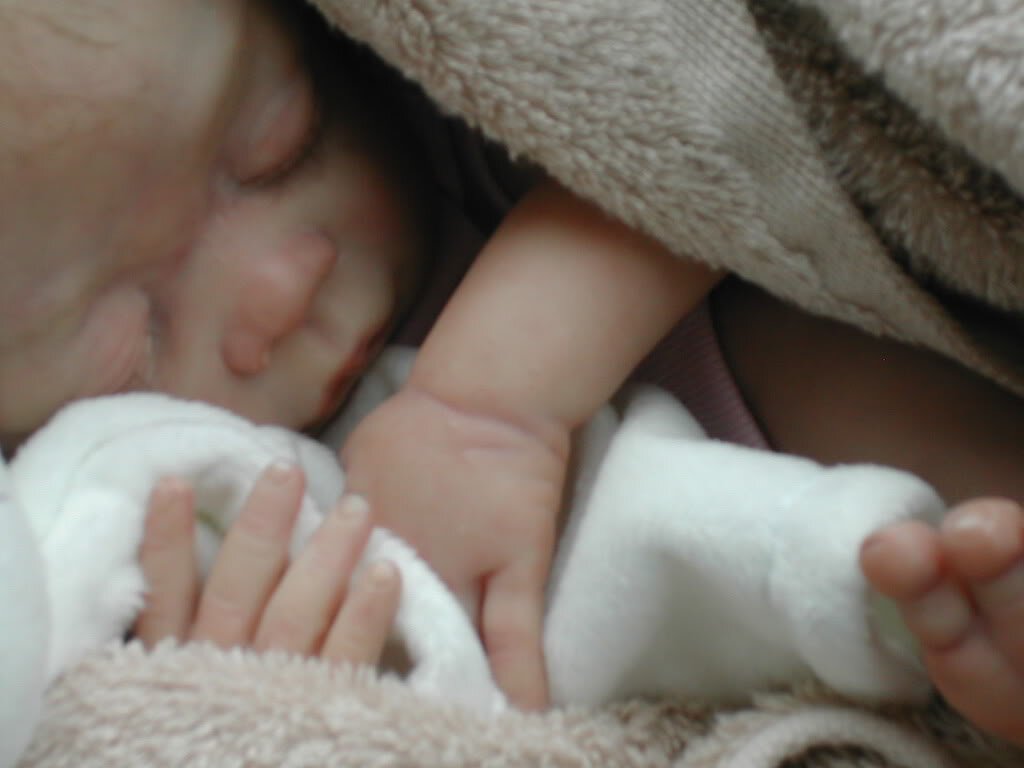 hopes and dreams nursery (reborn)http://t.co/irskaUL7lf
