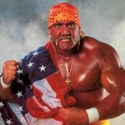 All about Hulk Hogan!