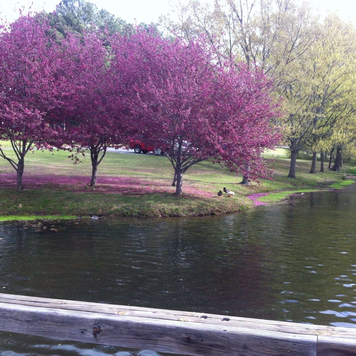 LeighLbaker's profile picture. 