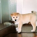 rick mccoy - @RickRrcycles - Twitter