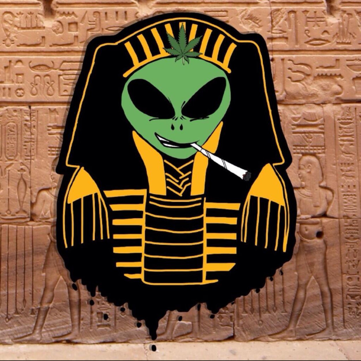 maryjan3420's profile picture. Spark up