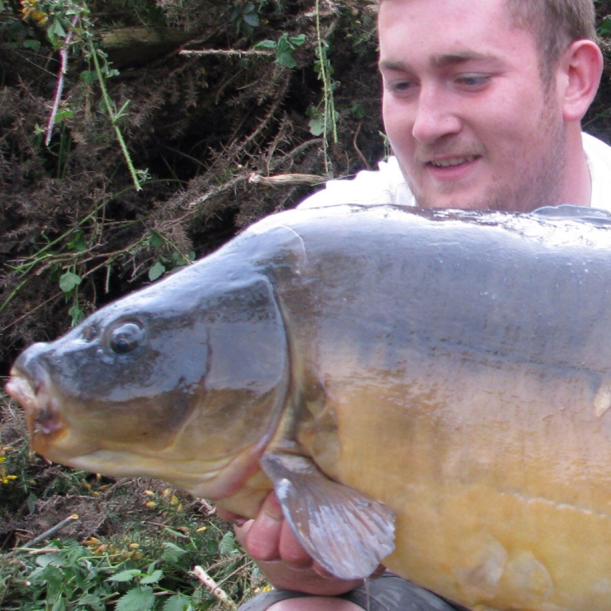 Premier Carp Bait Suppliers. Official Product Launch June 2014.... HD Baits- Adapt & Overcome, are you HD ready?! Follow us for Sneak previews & Give Aways!