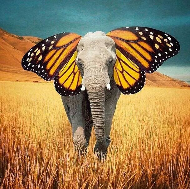 8319brown's profile picture. 