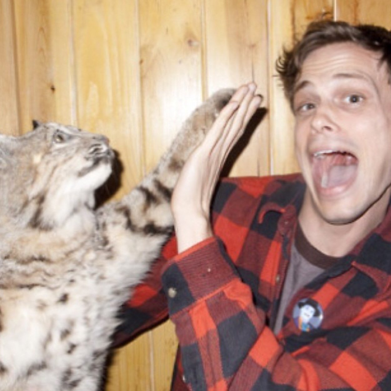 MissGubler16's profile picture. 