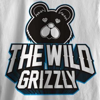 Heavy Pop Punk / Easy Core Band from BALI , mention for follback , For Booking ,CP : 083114560230 / 23183822 | Ig : @thewildgrizzly