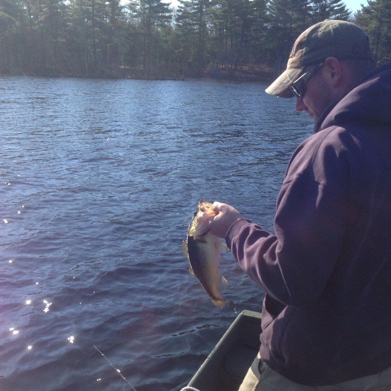 Loyal fan of the Boston Bruins, New York Football Giants and Ole Miss Rebels #HYDR #hottytoddy .Bass angler. Hockey coach. Husband. Dad.