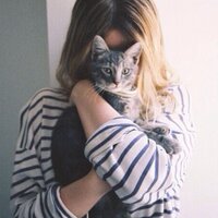 CrazyCatLady ^.^ (@cat__obsessed) 's Twitter Profile