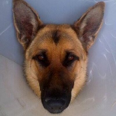 Freedom_fifty5's profile image