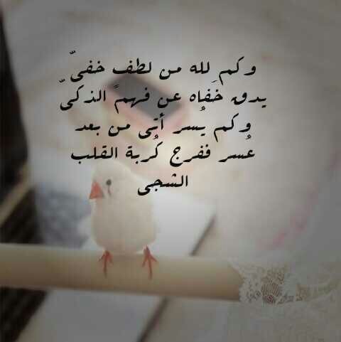 Samar1465's profile picture. ‏‏وقف خيري.....فضلا ساهموا بنشر الحساب برتويت ربي مايحرمكم الأجر..